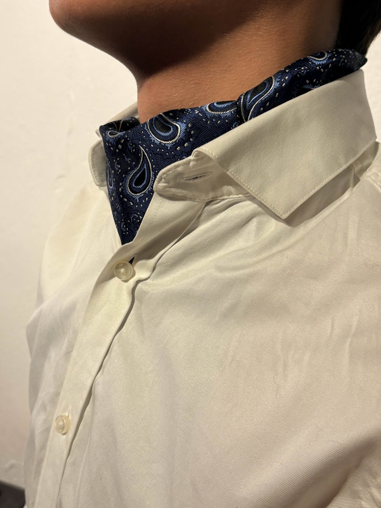 Ascot marineblå paisley